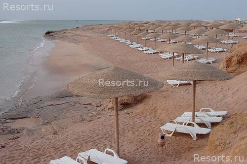 Sea Life Resort 31